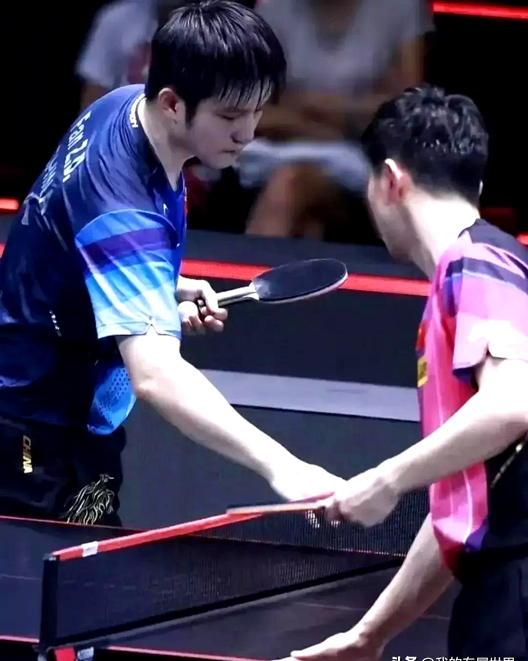 包含比利时乒乓球队翻盘德国乒乓球队，马龙统治全场的词条