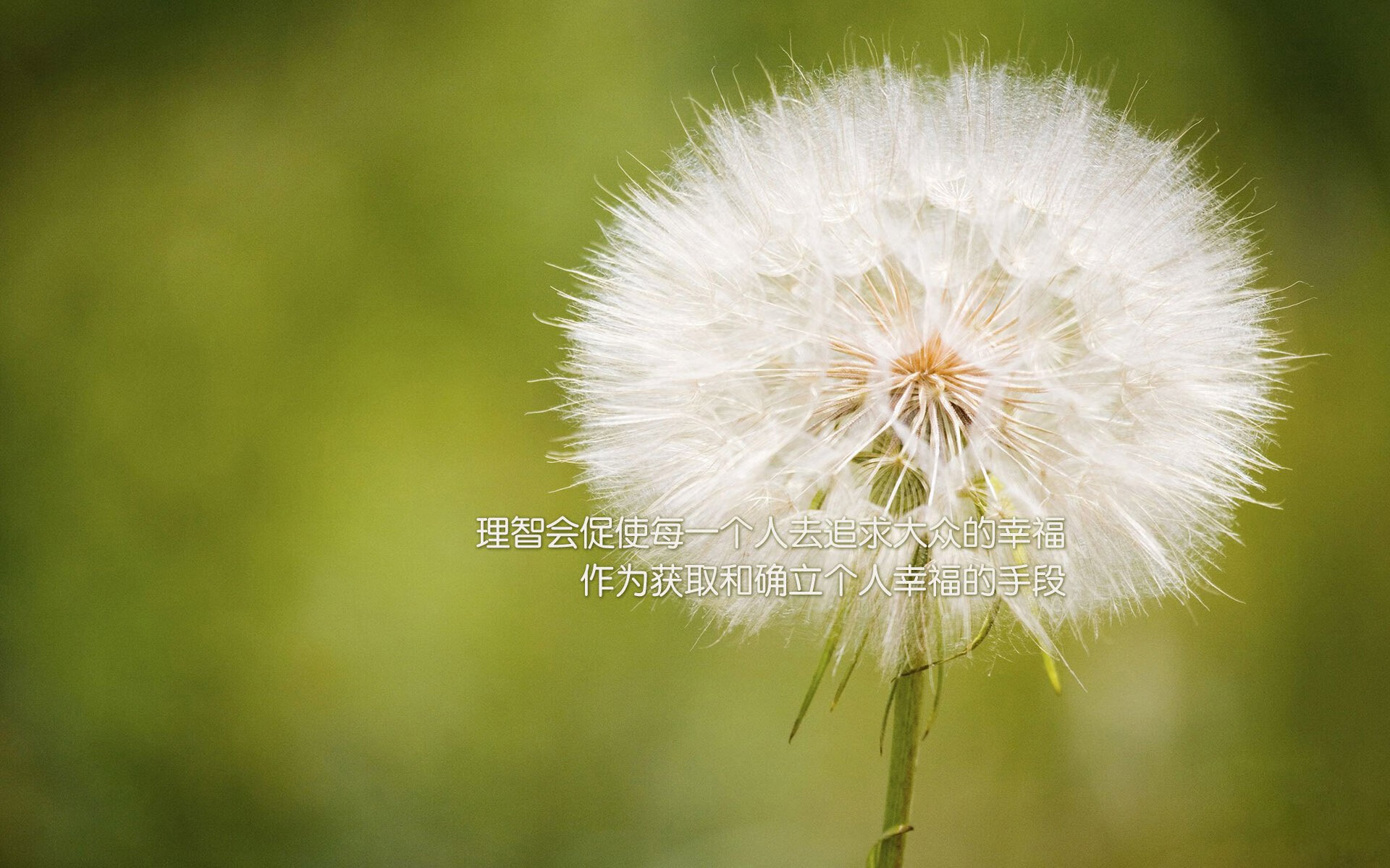 引擎对决，F1新赛季揭幕战预热，切尔西换上新引擎力克雷恩