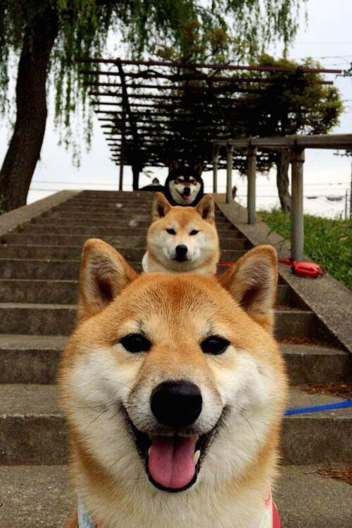 罗马城奇迹夜,维尼修斯临时救火,带队击溃佛罗伦萨