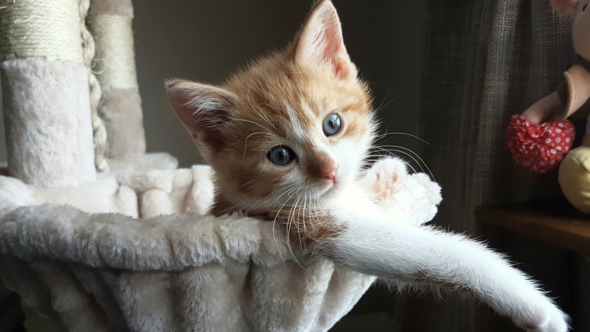 穹顶之上的蓝色樱花，三笘薰爆发之夜，马德里竞技如何从战火边缘带走乌克兰