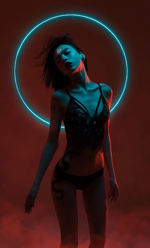 静水流深,约基奇如何重新定义攻防转换,太阳灰熊巅峰对决揭示现代篮球真谛