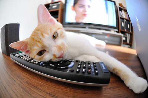 欧冠决赛式对决，猛龙最后时刻绝杀雷霆，焦点战引爆全球体育激情