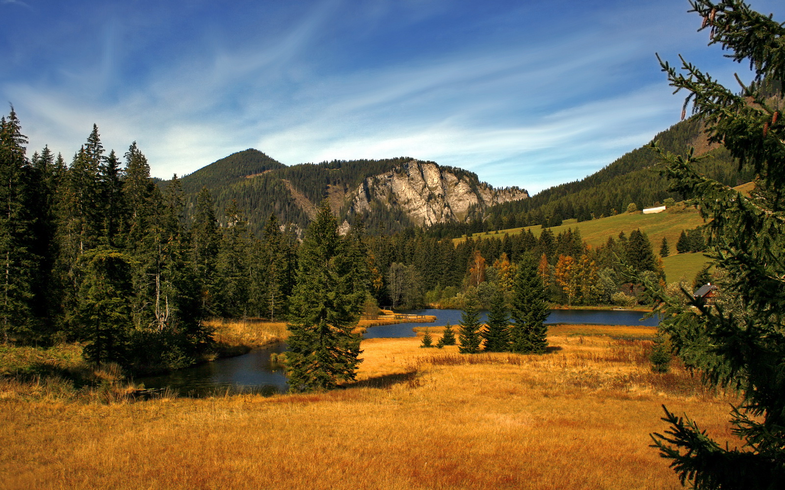 领袖的诞生，从活塞逆袭到塔图姆加冕，关键时刻如何炼成超级巨星？