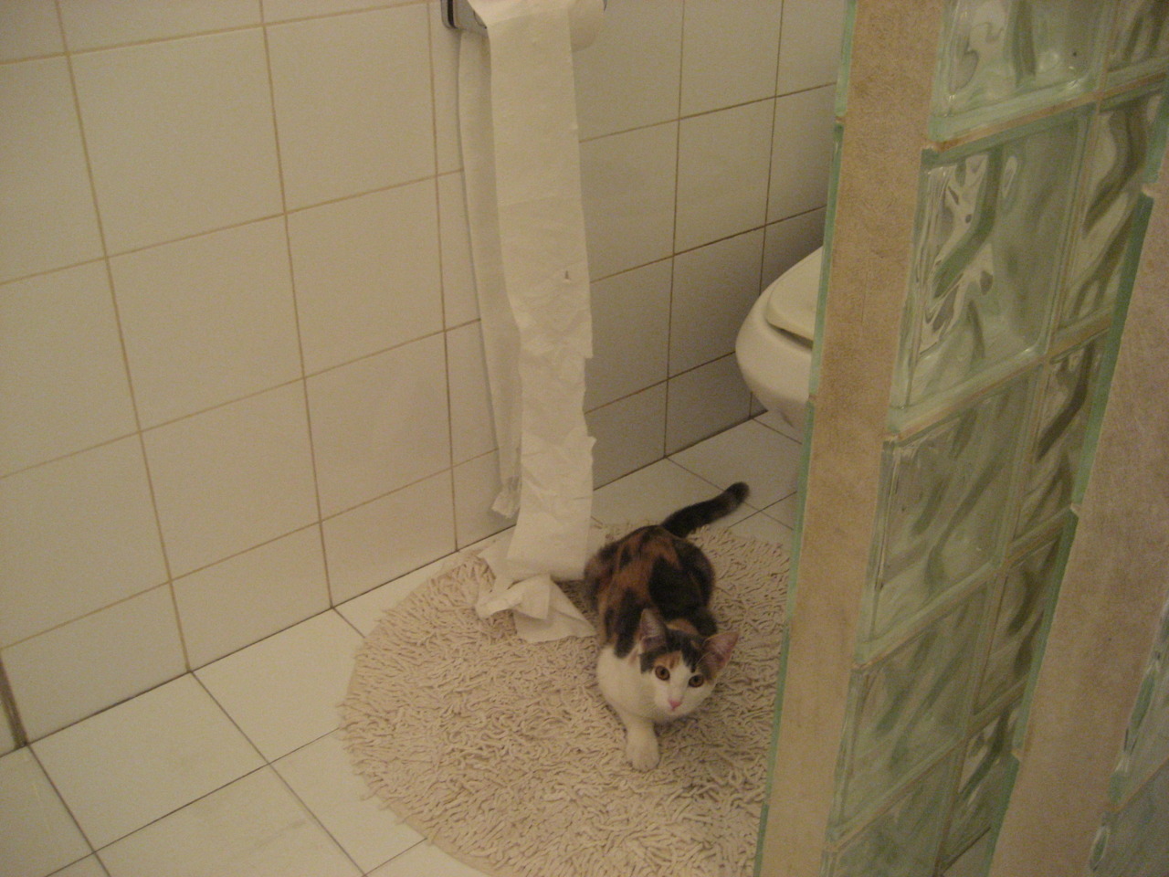 暗流与獠牙,当苏格兰风暴眼托尼遭遇南非的绿色狂潮