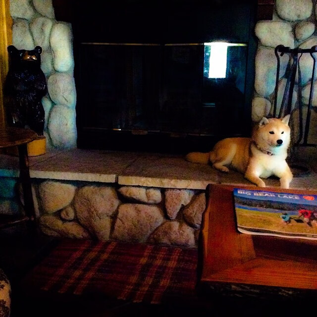 决胜时刻，爵士惊天逆转，强硬防守终带走吉林队