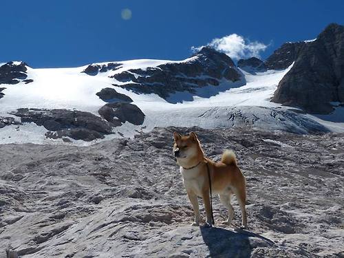 布克一剑封喉,山西铁血围剿!CBA草根军团如何肢解NBA级天赋?