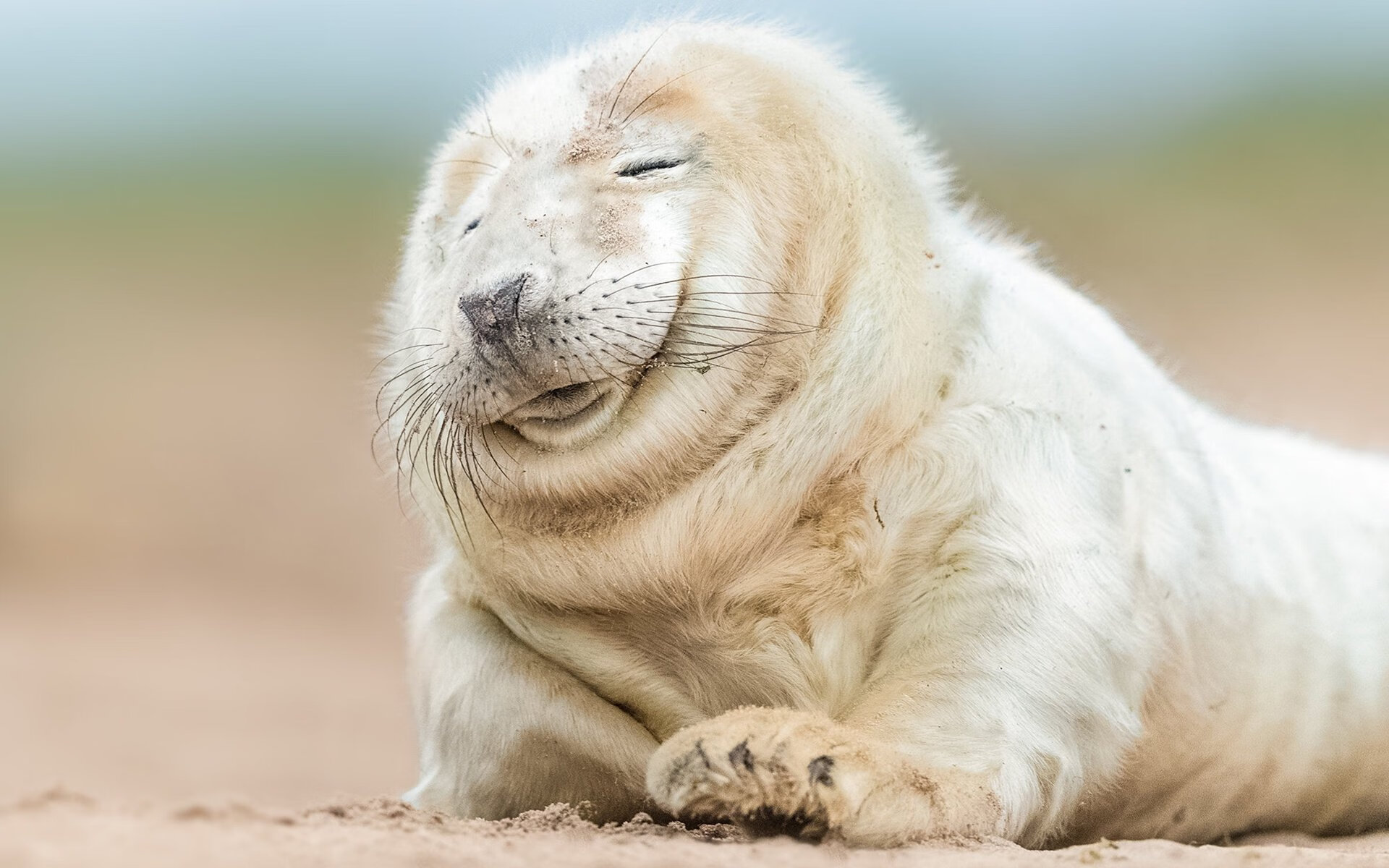 沉默刺客的审判时刻,德罗赞关键连续得分引领篮网碾压魔术