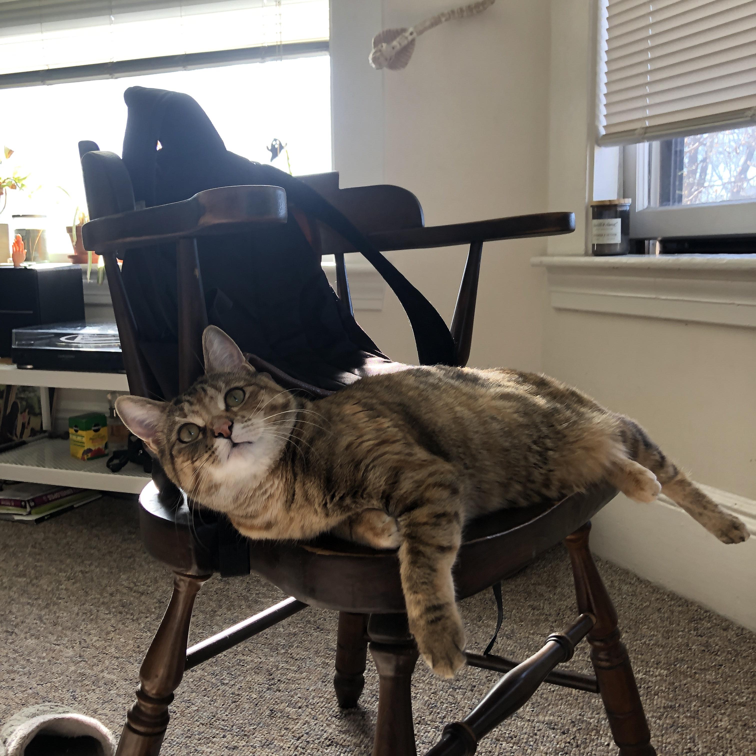 帕尔默爆发引燃绿茵！比利亚雷亚尔浴血死斗，亚特兰大梦碎情歌球场