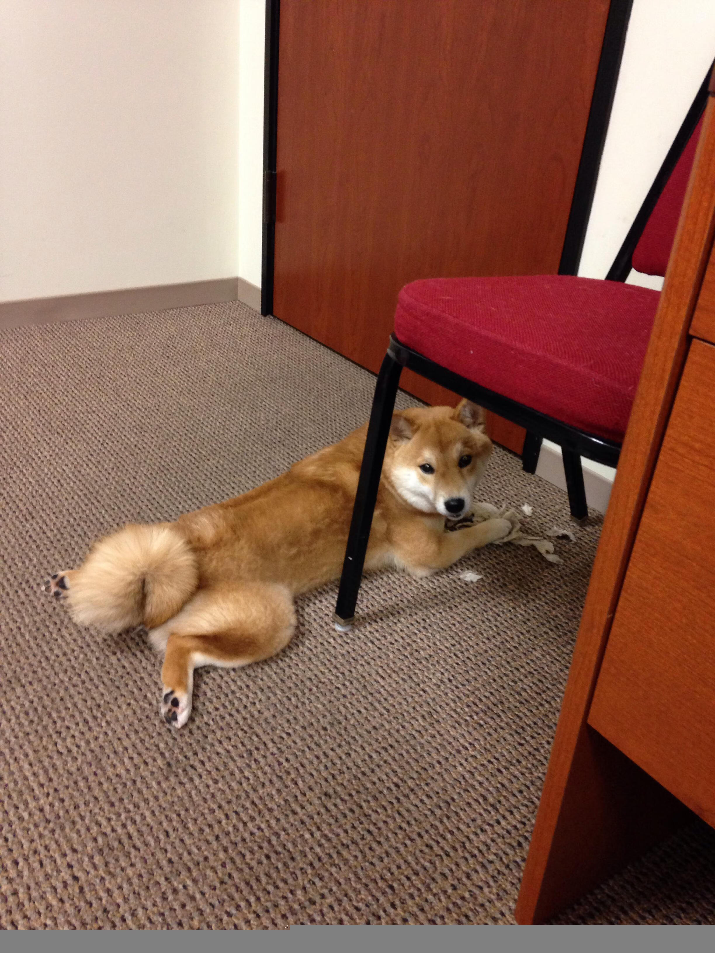 蓝色坚壁斩断卫冕路，坎特的无形刀锋