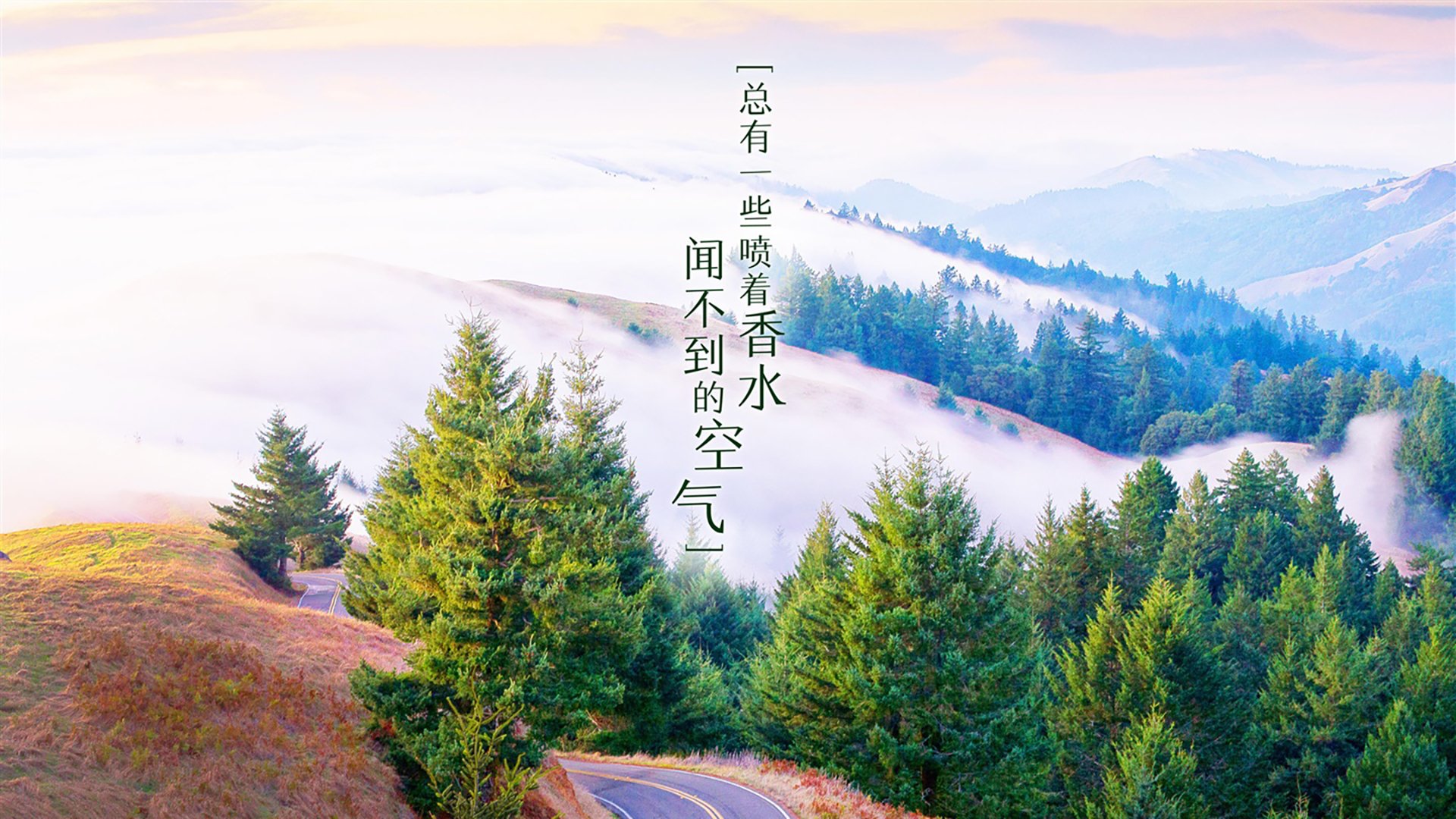绝杀时刻,格列兹曼闪耀,西班牙2:1力克喀麦隆锁定H组头名